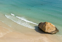 Socotra_2025 (65/76)